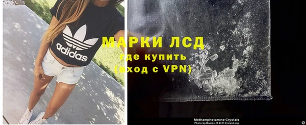 стафф Аркадак