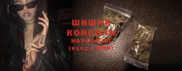прущий лед Богданович