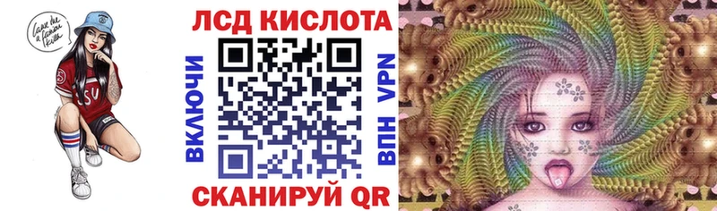 Марки N-bome 1500мкг  Судак 