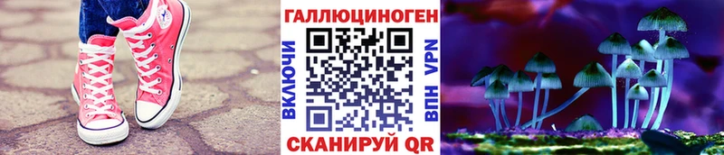 купить наркотик  Судак  Галлюциногенные грибы Psilocybe 